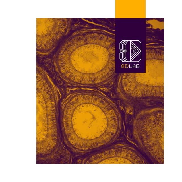 Soothing Frequencies - 8D Lab - Relaxing Music