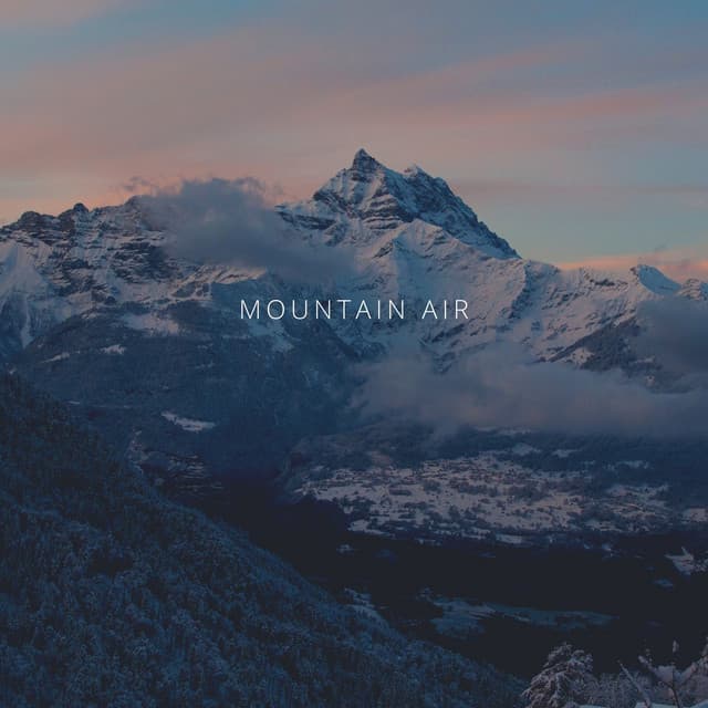 Mountain Air - Forest FX