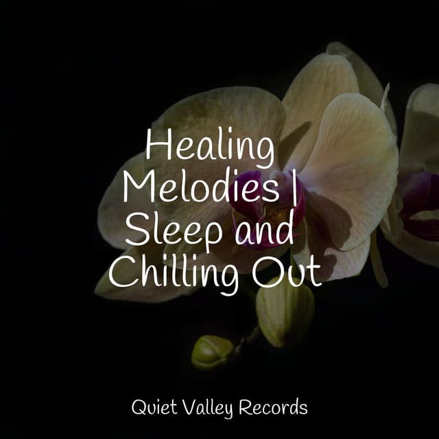 Healing Melodies | Sleep and Chilling Out - Powerthoughts Meditation Club