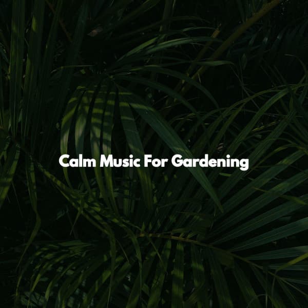 Calm Music For Gardening - Thursday Morning Jazz Playlist