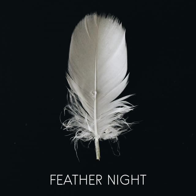Feather Night - Sleep Waves