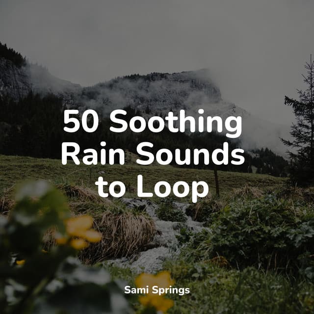 50 Soothing Rain Sounds to Loop - Loopable Rain Sounds