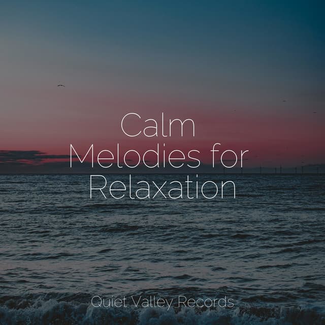 Calm Melodies for Relaxation - Sleep Waves