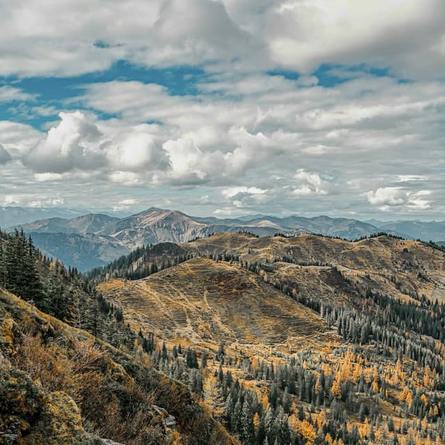 25 Atmospheric Soundscapes: Ambient Dreams - Baltic Nature Sounds