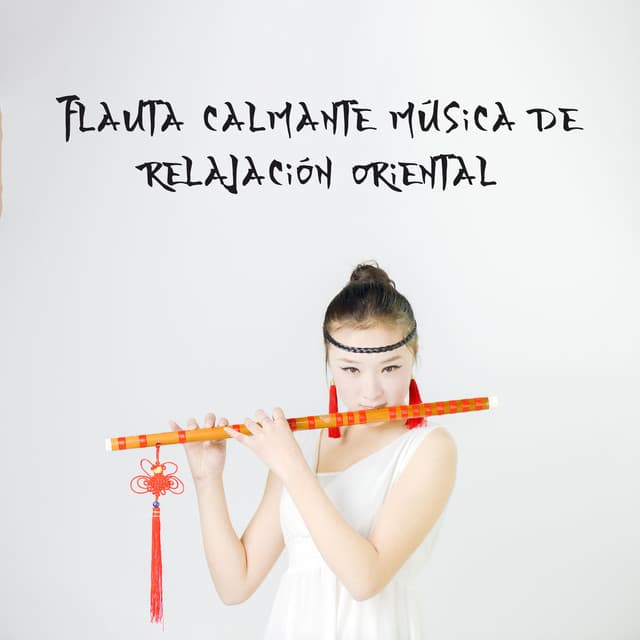 Música Zen Relajante Conjunto