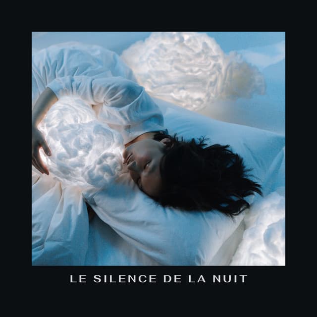 Le Silence De La Nuit - Le Sommeil