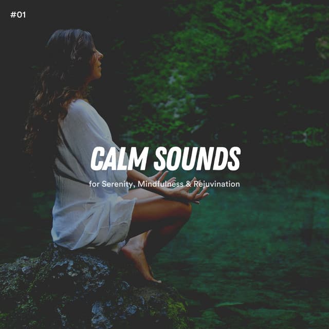 #01 Calm Sounds for Meditation, Wellness & Background Noise - White Noise