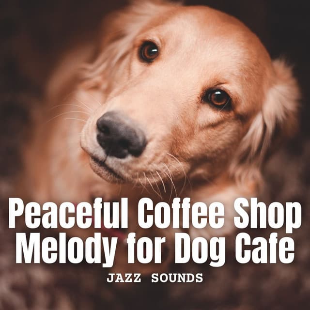 Jazz Sounds: Peaceful Coffee Shop Melody for Dog Cafe - Soft Cafe Lounge