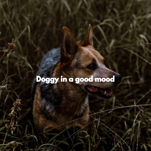 Doggy in a good mood - Puppy Music