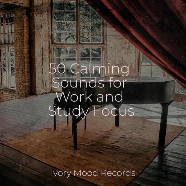 50 Calming Sounds for Work and Study Focus - Deep Sleep Relaxation