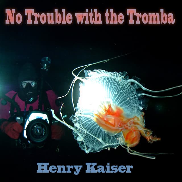 No Trouble with the Tromba - Henry Kaiser