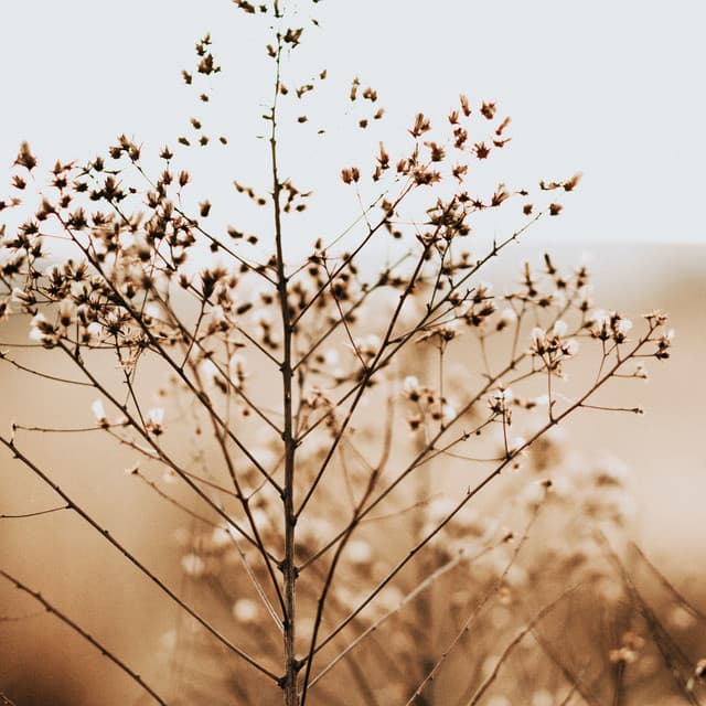 Spa Music - 50 Songs for Yoga and Spa - White Noise Baby Sleep