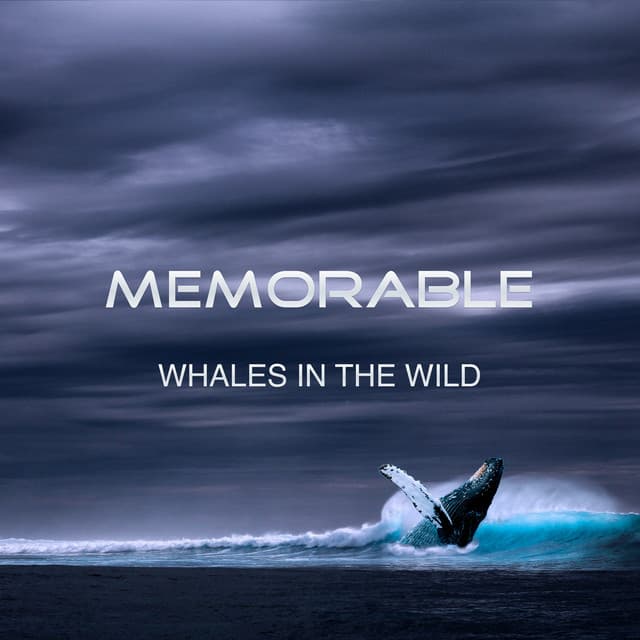 Memorable