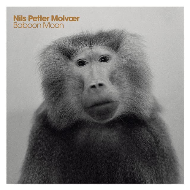 Baboon Moon - Nils Petter Molvær