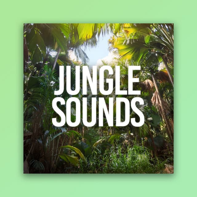 Jungle Sounds - Jungle Sounds