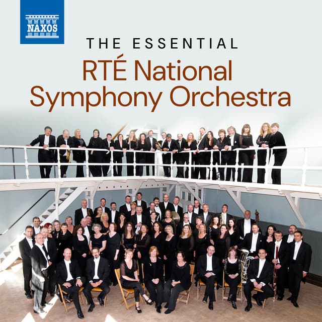 The Essential RTÉ National Symphony Orchestra - RTÉ National Symphony Orchestra