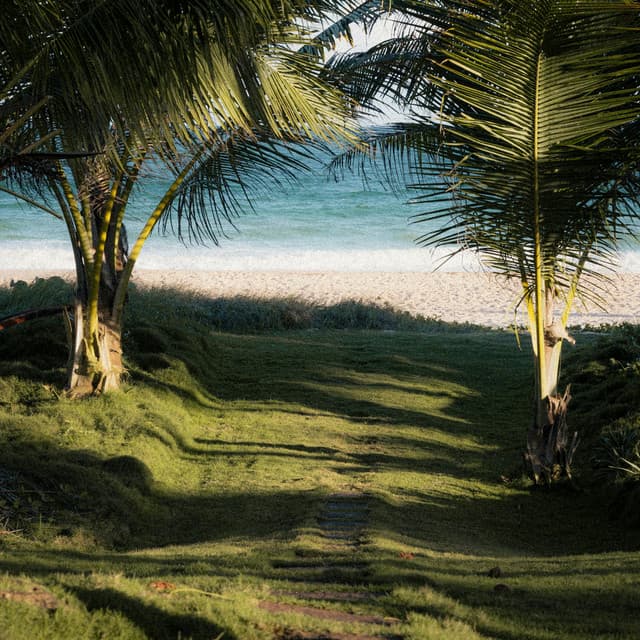 0 Hour Zen: Healing Waters - Ocean Waves For Sleep