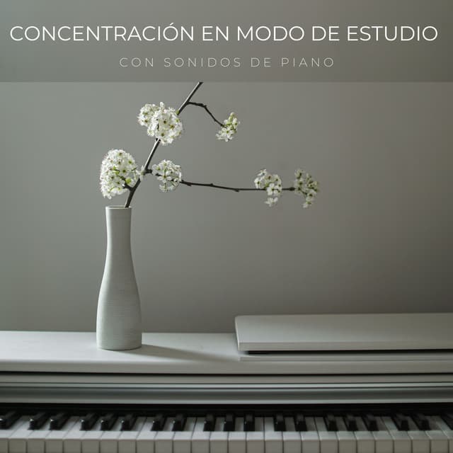 Concentración En Modo De Estudio Con Sonidos De Piano - Instrumentales de jazz para piano