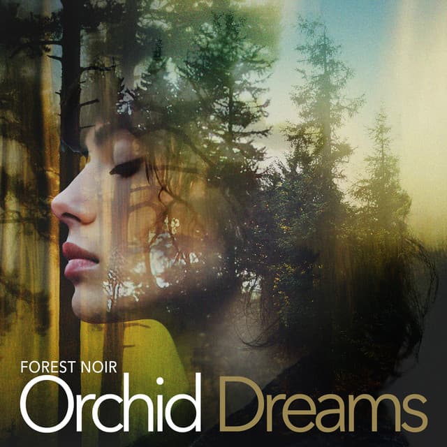 Orchid Dreams - Forest Noir