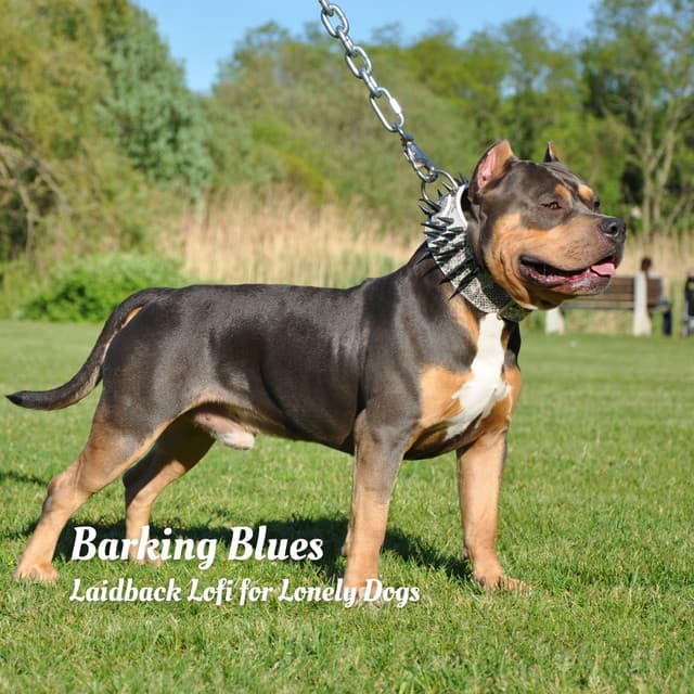 Barking Blues: Laidback Lofi for Lonely Dogs - Lofis