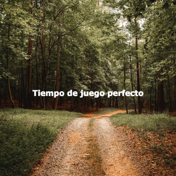 Tiempo de juego perfecto - Musica per Cucinare