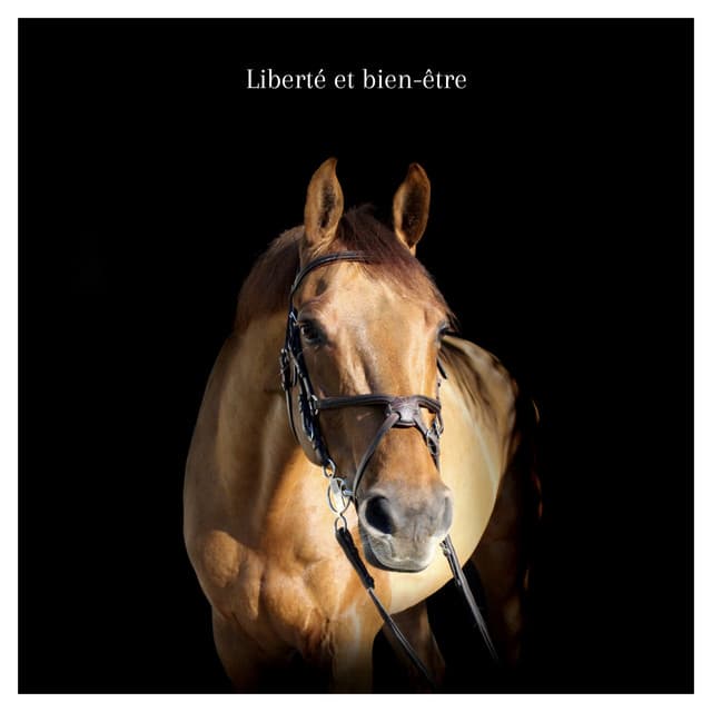 Liberté et bien-être - Spa Musique Massage