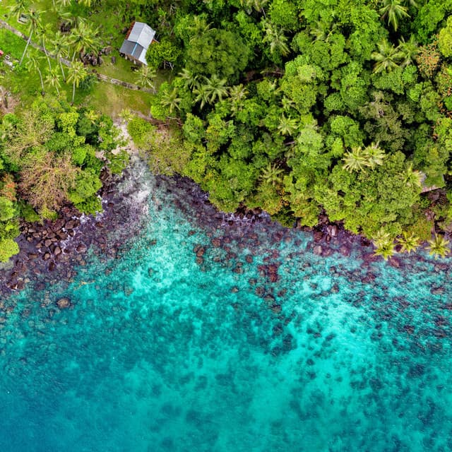 Relaxation Playlist: 50 Tracks for Instant Peace & Tranquility - Calming Sounds