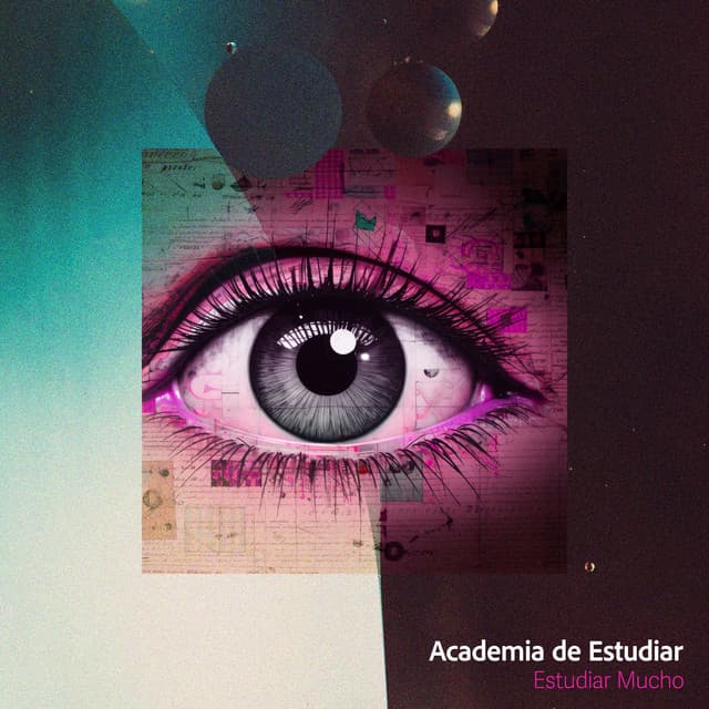 Academia de Estudiar - Estudiar Mucho