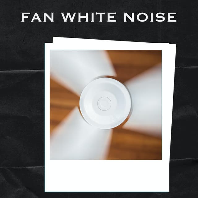 Fan White Noise - Fan White Noise
