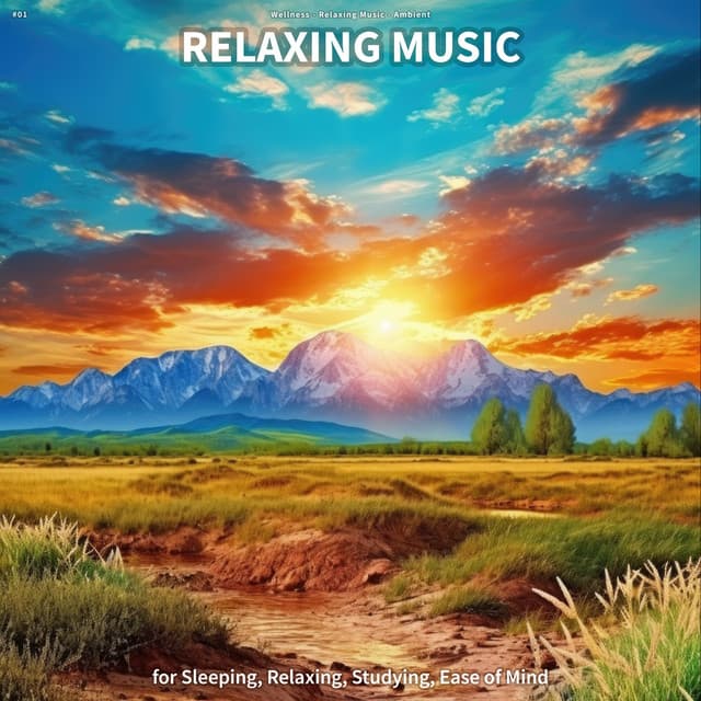 #01 Relaxing Music for Sleeping, Relaxing, Studying, Ease of Mind - Wellness