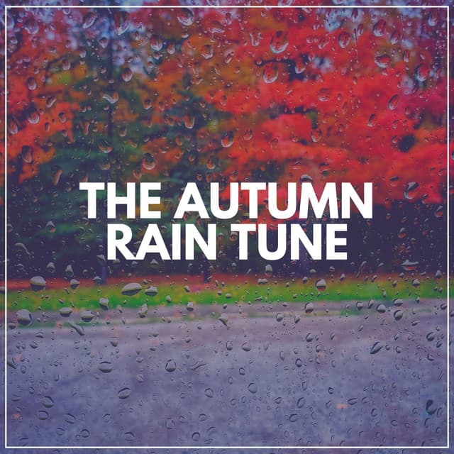 The Autumn Rain Tune - Meditation Rain Sounds