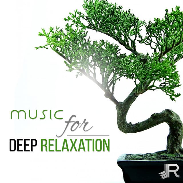 Music for Deep Relaxation: 50 Zen Tracks, Healing Meditation, Namaste Yoga, Pure Spa Massage Music, Reiki Treatment, Serenity - Total Relax Zone