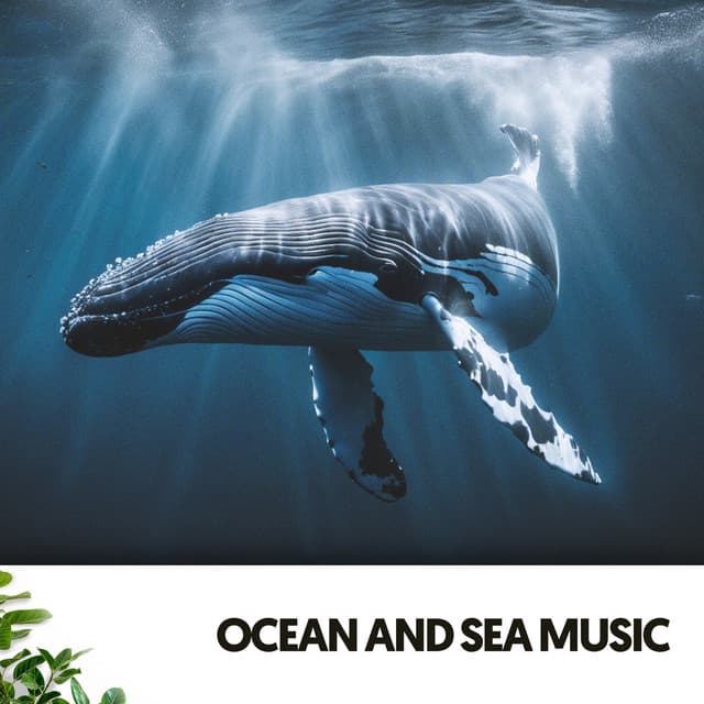 Ocean and Sea Music: Symphony of the Deep Blue - Música Relajante Para Leer