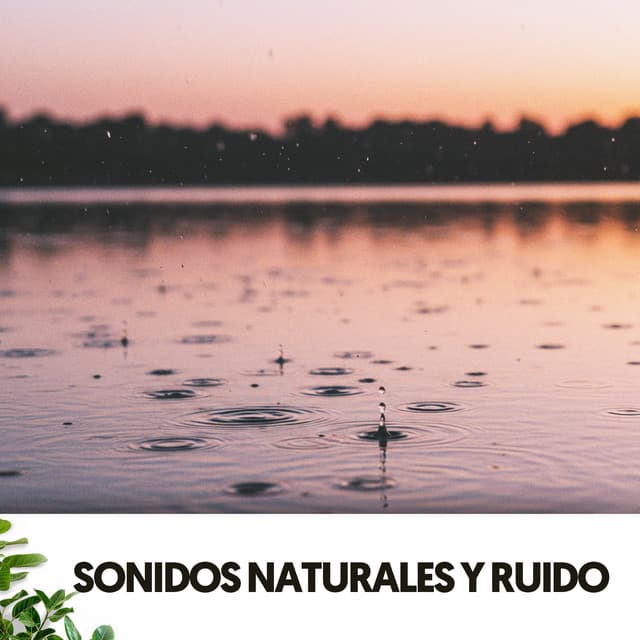 Sonidos Naturales y Ruido: Gotas de paz - Relajacion