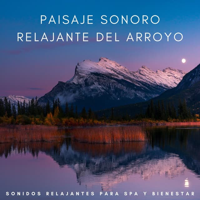 Spa Relajación y Sueños
