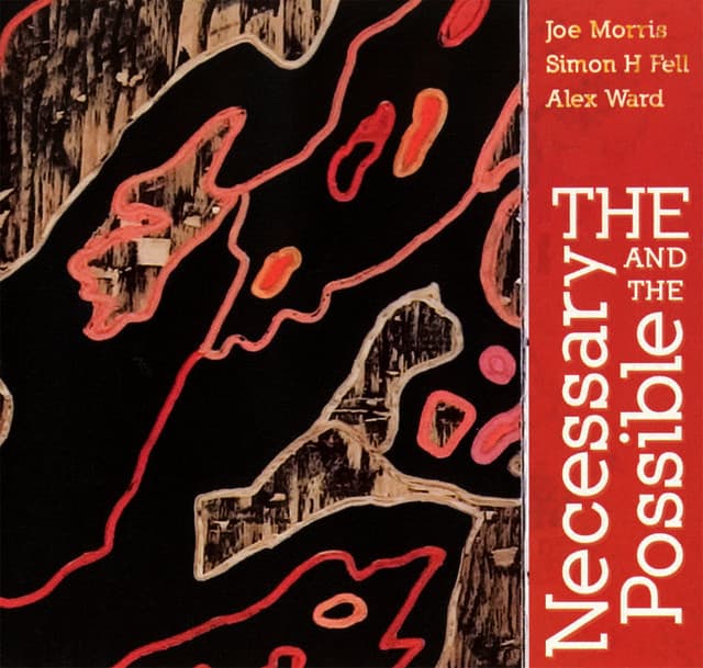 The Necessary and the Possible - Joe Morris