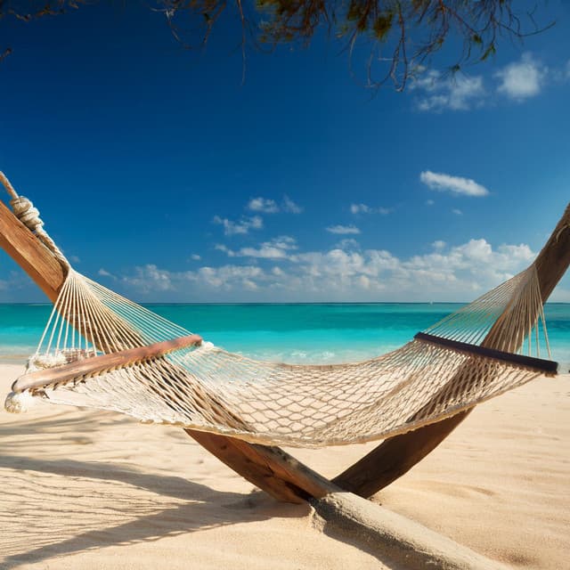 Tonos Atemporales: Música Para Un Consuelo Puro - LatinoFi