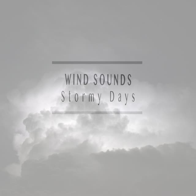 Stormy Days - Wind Sounds