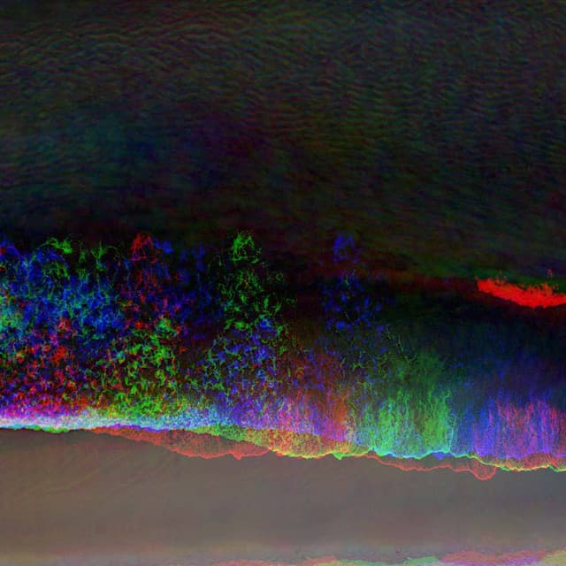 Echoes of Covering Down - Los Pianos Barrocos