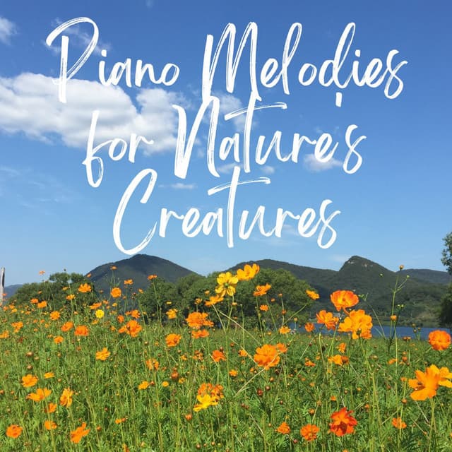 Harmonic Companions: Piano Melodies for Nature's Creatures - Nightly Piano