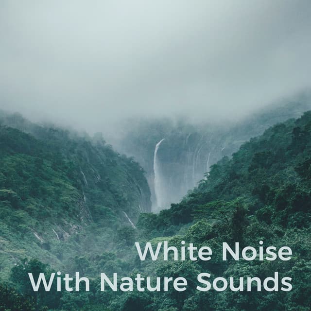 White Noise with Nature Sounds - Nature Noise