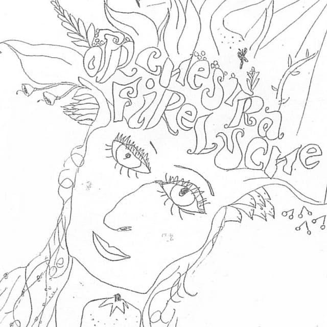 Directe a la Planeta - Orchestra Fireluche