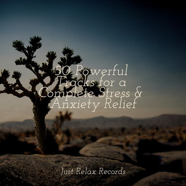 50 Powerful Tracks for a Complete Stress & Anxiety Relief - Relaxing Spa Music