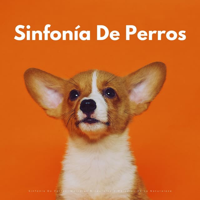 Sinfonía De Perros: Melodías Binaurales Y Melodías De La Naturaleza - Reiki para animales