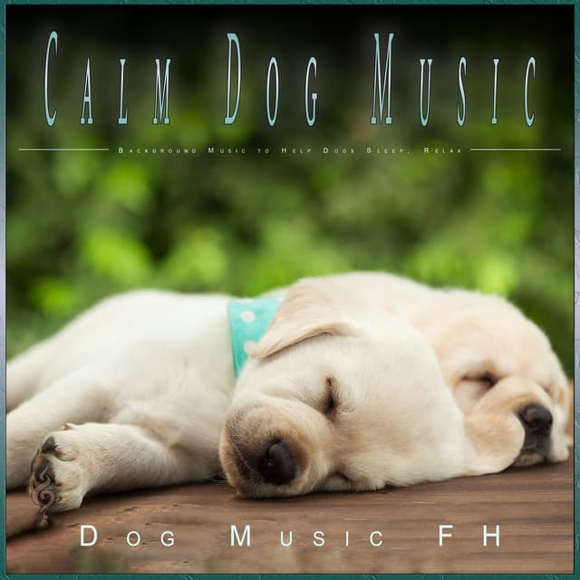 Calm Dog Music: Background Music to Help Dogs Sleep, Relax - Calming Music for Dogs