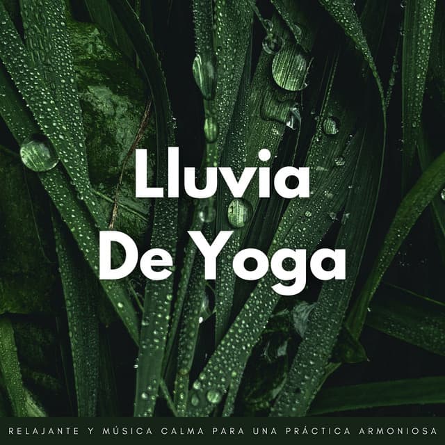 Lluvia De Yoga: Lluvia Relajante Y Música Calma Para Una Práctica Armoniosa - Sonidos de lluvia ASMR