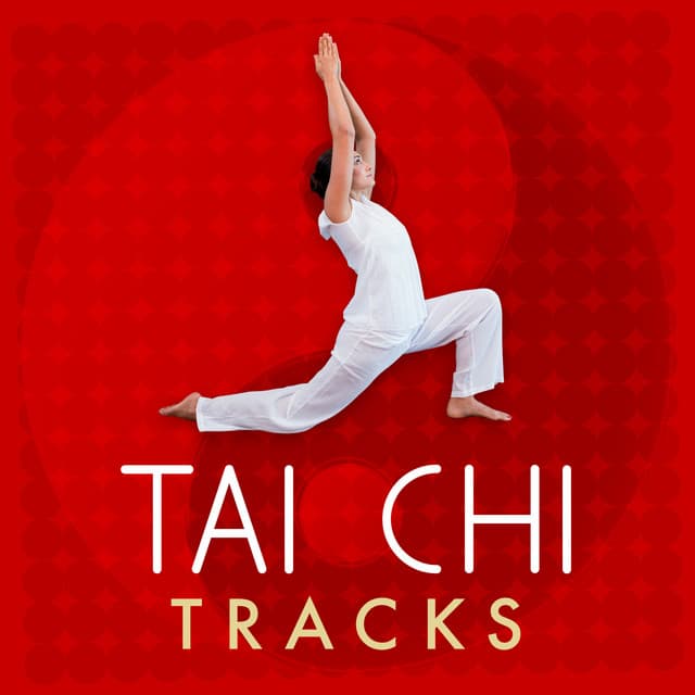 Tai Chi Tracks - Tai Chi