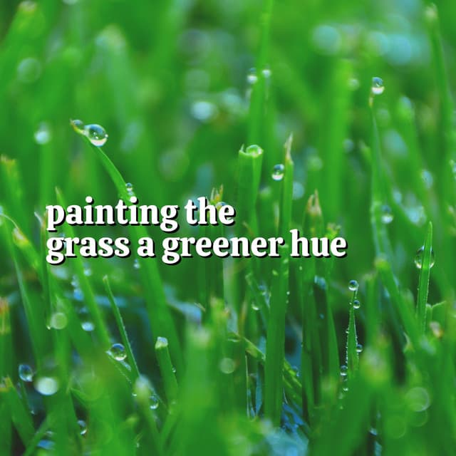 Painting the Grass a Greener Hue - Rainfall