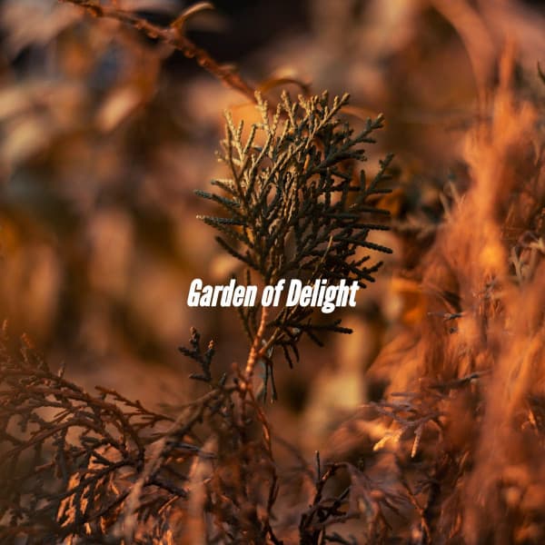 Garden of Delight - Coffee Morning Jazz Deluxe