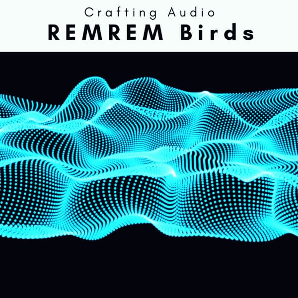 A REMREM Birds - Crafting Audio